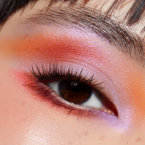 Lidschatten 12 Pan Ready for Anything Social Butterfly von Morphe