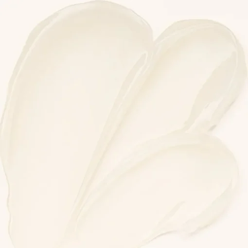 Lidschatten Grip to Last Eyeshadow Primer von Catrice