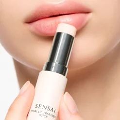 Lippenpflege Total Lip Treatment Stick von SENSAI