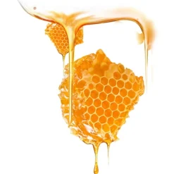Maskenbehandlung UFO Mask Manuka Honey von Foreo