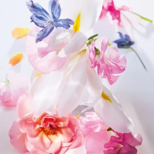 Miss Dior Roller-Pearl Eau de Parfum von DIOR