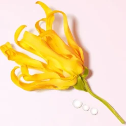 My Way Eau de Parfum Spray Ylang von Armani