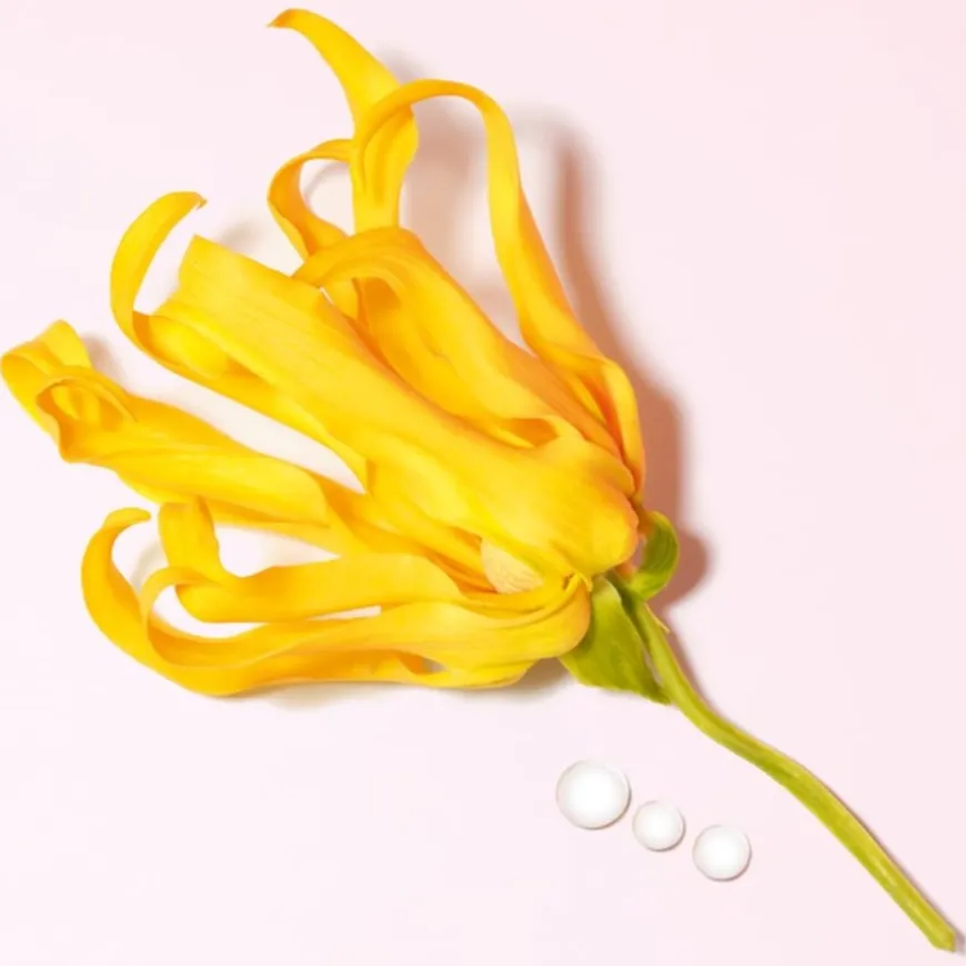 My Way Eau de Parfum Spray Ylang von Armani