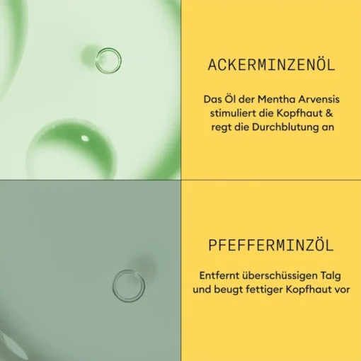 Naturbelassenes, dezent dünner werdendes Haar Scalp Therapy Revitalising Conditioner Natural Hair Progressed Thinning von Nioxin