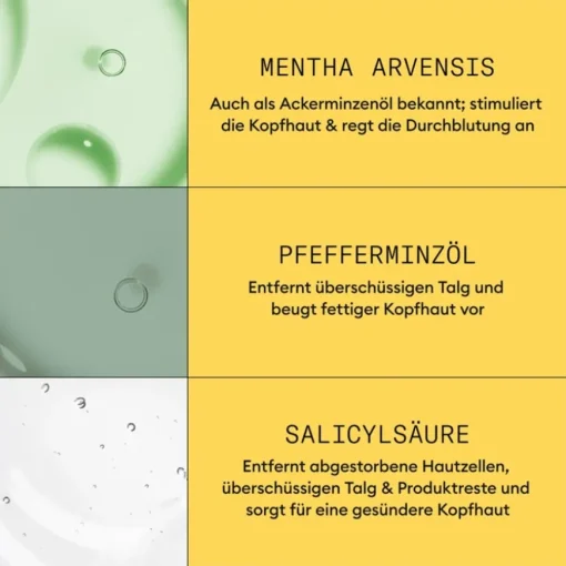 Naturbelassenes, dezent dünner werdendes Haar Cleanser Shampoo Natural Hair Progressed Thinning von Nioxin
