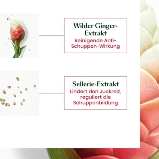 Neopur Ausgleichendes Shampoo für trockene Schuppen von René Furterer