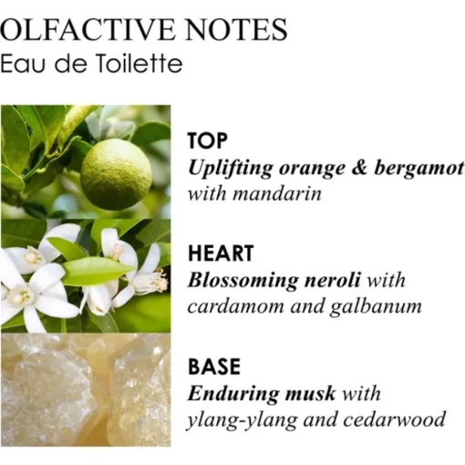 Orange & Bergamot Eau de Toilette Spray von Molton Brown
