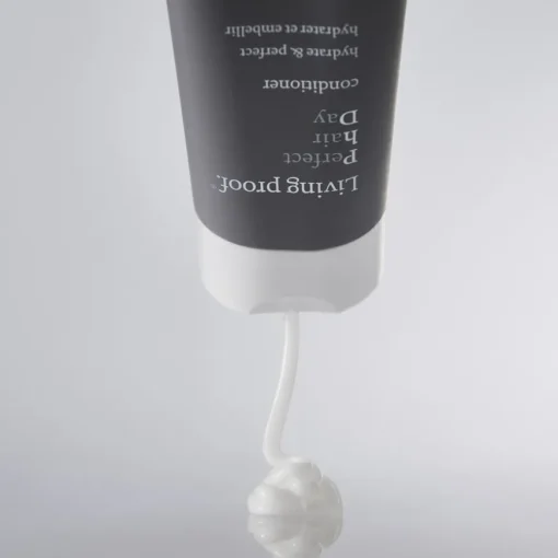 Perfect hair Day Conditioner von Living Proof