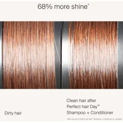 Perfect hair Day Conditioner von Living Proof
