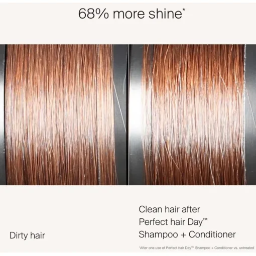 Perfect hair Day Conditioner von Living Proof