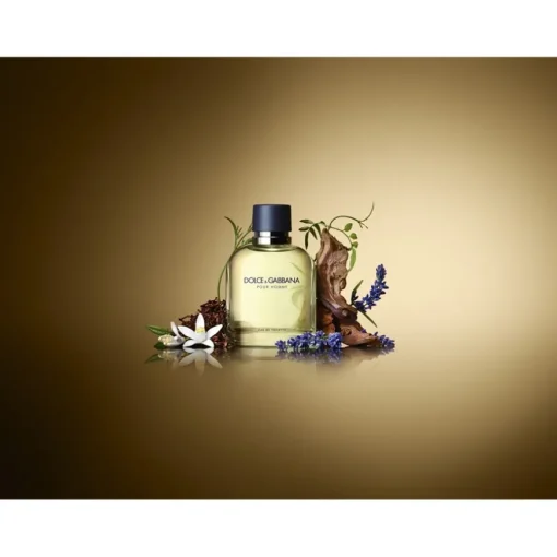 Pour Homme Eau de Toilette Spray von Dolce&Gabbana