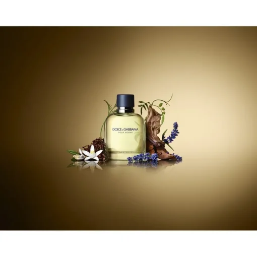 Pour Homme Eau de Toilette Spray von Dolce&Gabbana
