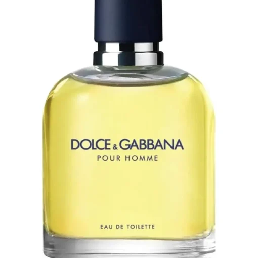 Pour Homme Eau de Toilette Spray von Dolce&Gabbana