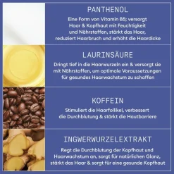 Powerpflege gegen Haarausfall Night Density Rescue von Nioxin