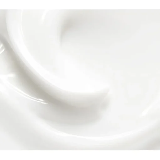 Primer & Concealer Refill Light Complexion Base von Zao
