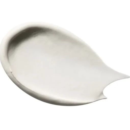 Pâte Grise Masque Purifiant Rééquilibrant von Payot