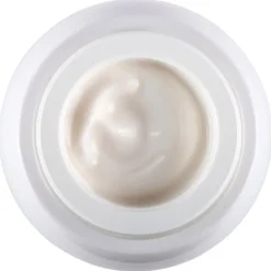 Re-Plasty Age Recovery Day Cream von Helena Rubinstein