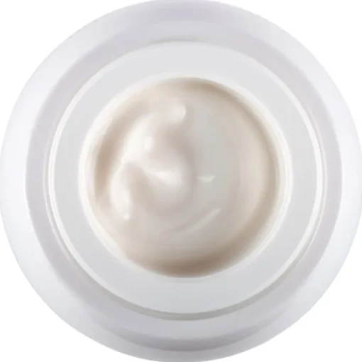 Re-Plasty Age Recovery Day Cream von Helena Rubinstein