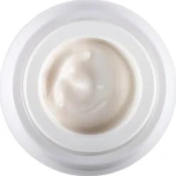 Re-Plasty Age Recovery Day Cream von Helena Rubinstein