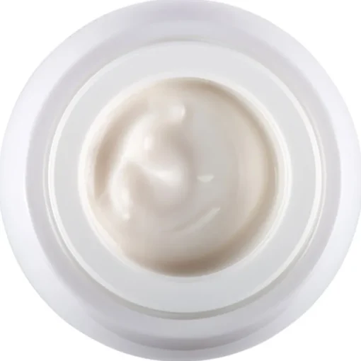 Re-Plasty Age Recovery Day Cream von Helena Rubinstein