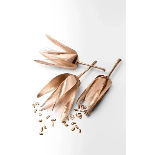 Rose Gold Eau de Parfum Spray von Tiffany & Co.
