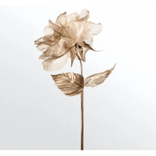 Rose Gold Eau de Parfum Spray von Tiffany & Co.