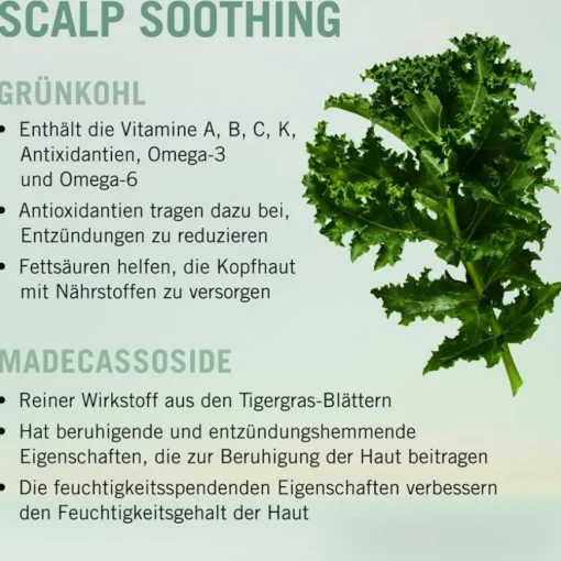 Scalp Care Scalp Soothing Serum von Schwarzkopf Professional