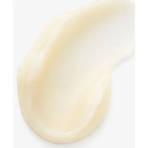 Seren & Konzentrate Calendula Serum-Infused Water Cream von Kiehl's