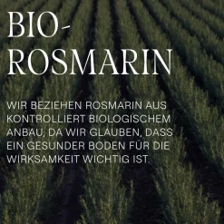 Shampoo Vitalisierendes Rosmarin Shampoo Ohne Silikone, mit Hyaluronsäure & Bio-Rosmarinöl für Volumen & Pflege von Weleda
