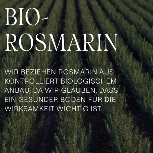 Shampoo Vitalisierendes Rosmarin Shampoo Ohne Silikone, mit Hyaluronsäure & Bio-Rosmarinöl für Volumen & Pflege von Weleda