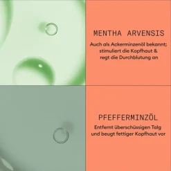 Sichtbar dünner werdendes Haar Scalp Therapy Revitalising Conditioner Colored Hair Progressed Thinning von Nioxin