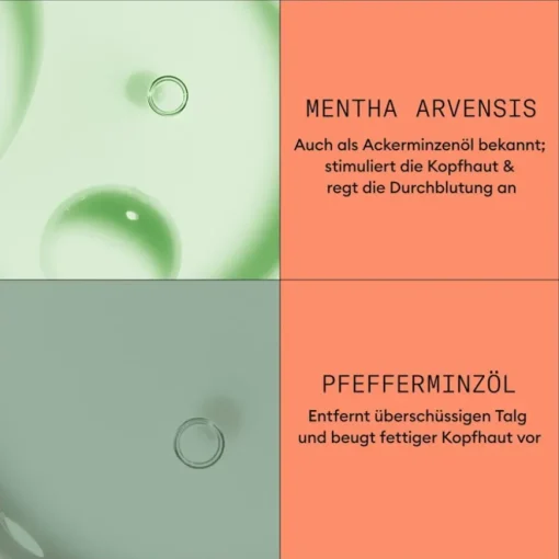 Sichtbar dünner werdendes Haar Scalp Therapy Revitalising Conditioner Colored Hair Progressed Thinning von Nioxin