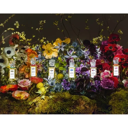 Sisley Les Eaux Rêvées L'Eau Rêvée d'Alma Eau de Toilette Spray