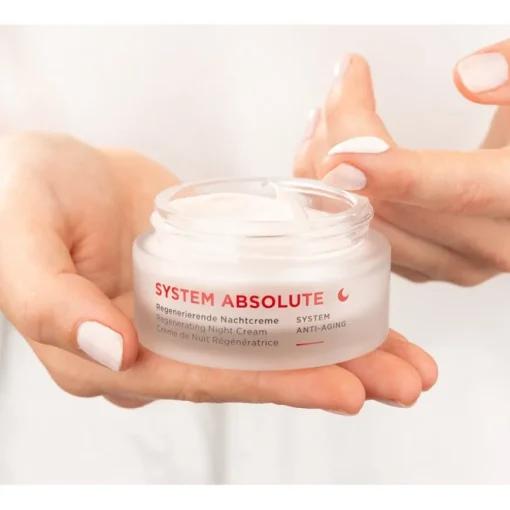 SYSTEM ABSOLUTE  Anti-Aging Power Duo von ANNEMARIE BÖRLIND