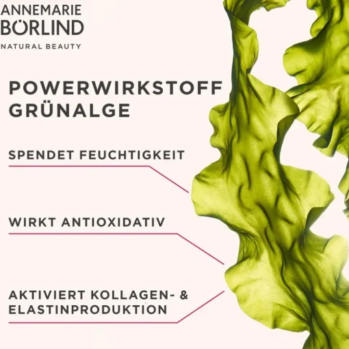 SYSTEM ABSOLUTE  Glättende Tagescreme von ANNEMARIE BÖRLIND