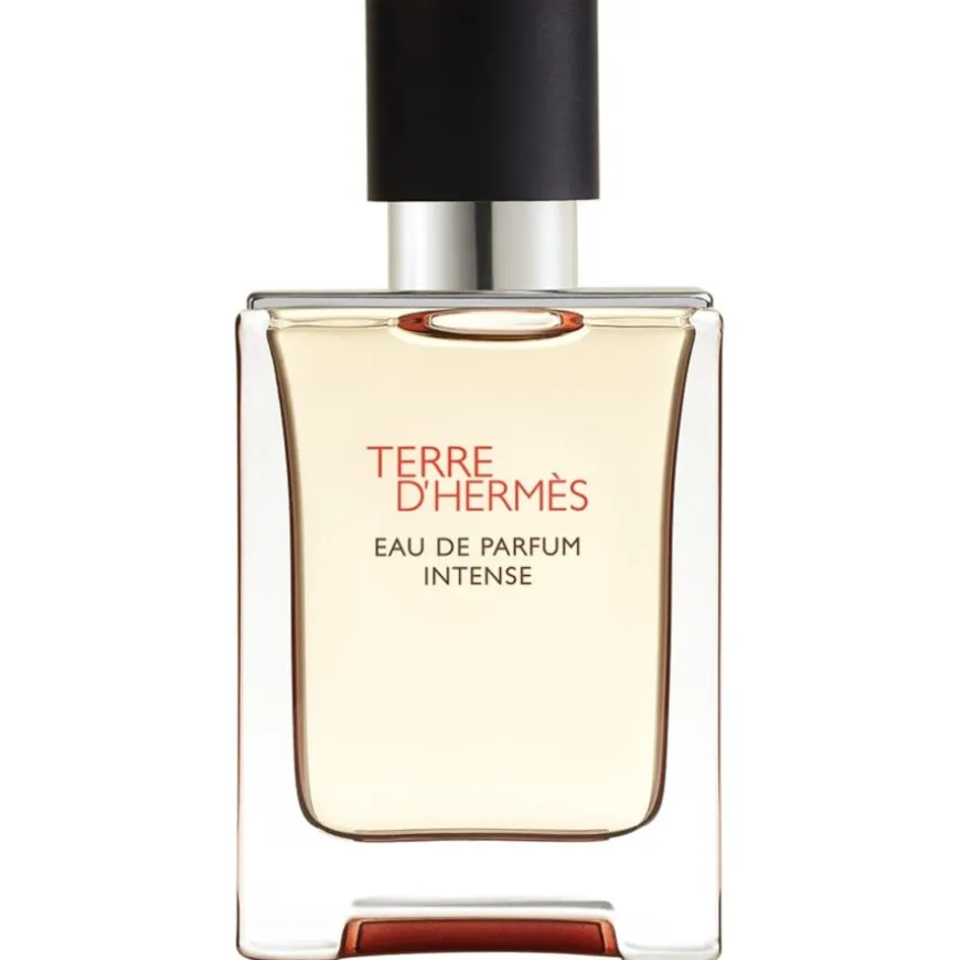 Terre d’Hermès Eau de Parfum Intense Eau de Parfum von Hermès