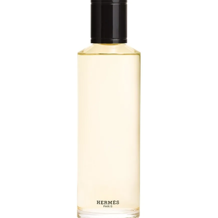 Terre d’Hermès Eau de Parfum Intense Eau de Parfum von Hermès