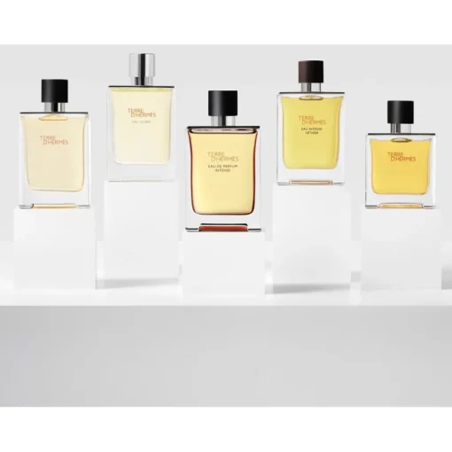 Terre d’Hermès Eau de Parfum Intense Eau de Parfum von Hermès