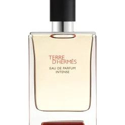 Terre d’Hermès Eau de Parfum Intense Eau de Parfum von Hermès