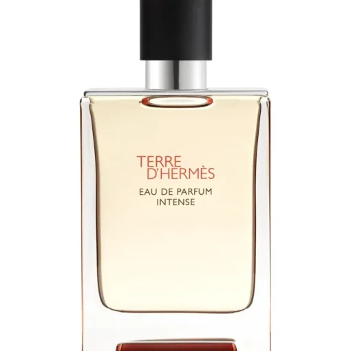 Terre d’Hermès Eau de Parfum Intense Eau de Parfum von Hermès