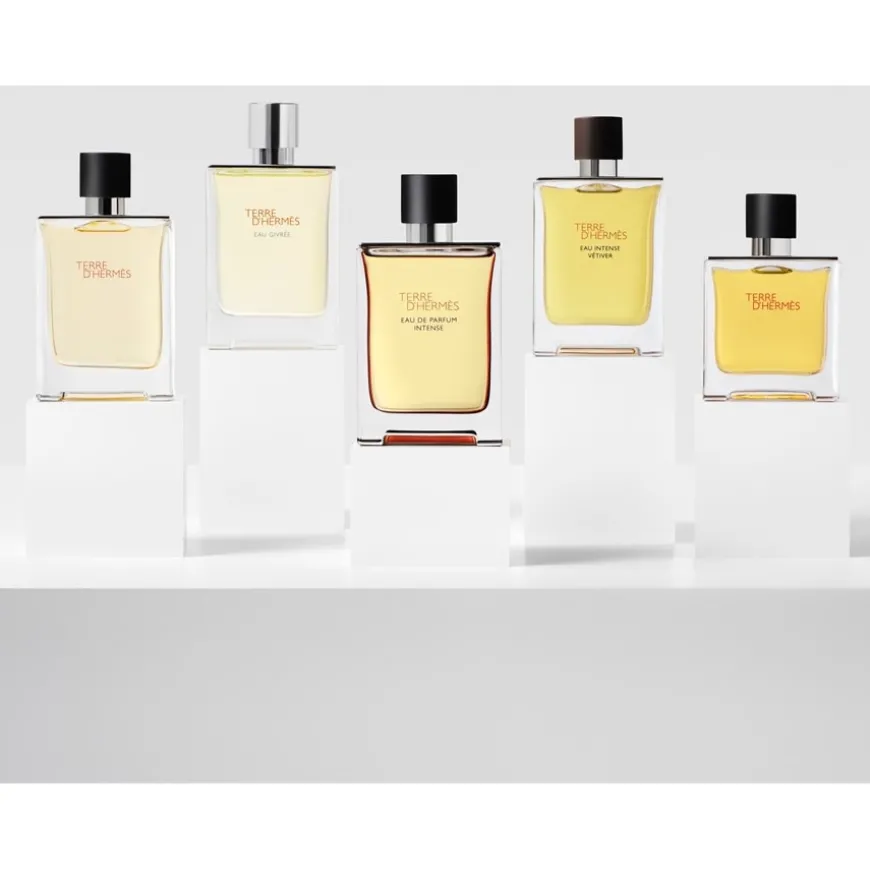 Terre d’Hermès Eau de Parfum Intense Eau de Parfum von Hermès