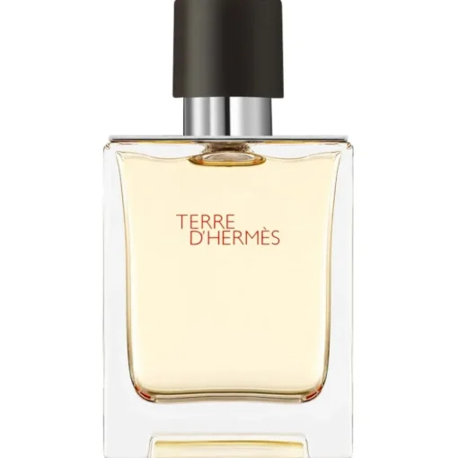 Terre d’Hermès Eau de Toilette Spray von Hermès