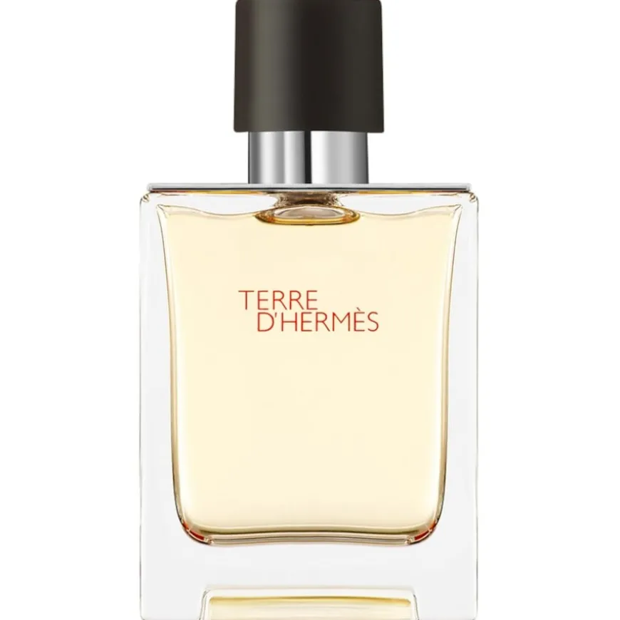 Terre d’Hermès Eau de Toilette Spray von Hermès