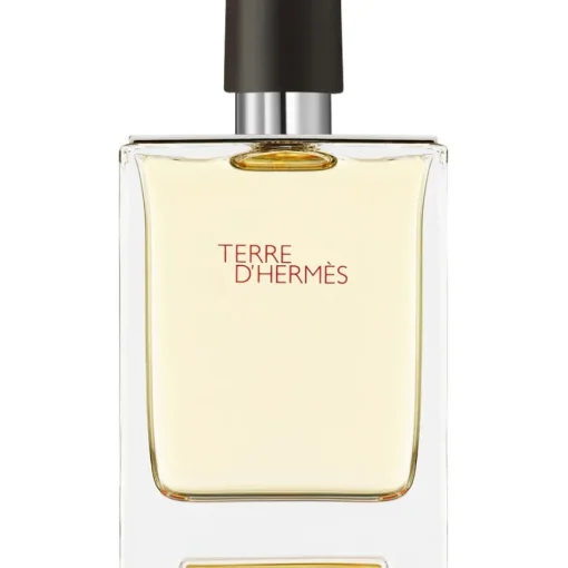 Terre d’Hermès Eau de Toilette Spray von Hermès