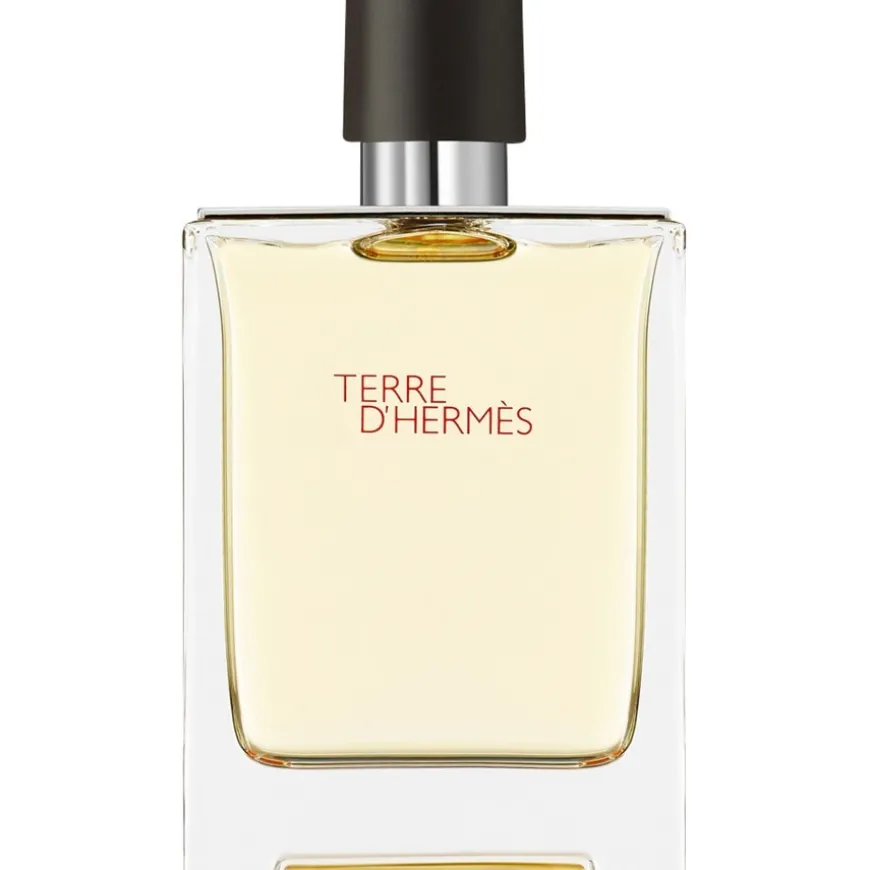 Terre d’Hermès Eau de Toilette Spray von Hermès