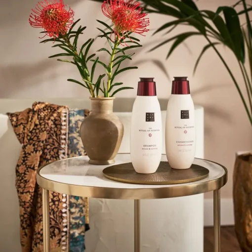The Ritual Of Ayurveda Hair Care Value Pack 2023 von RITUALS