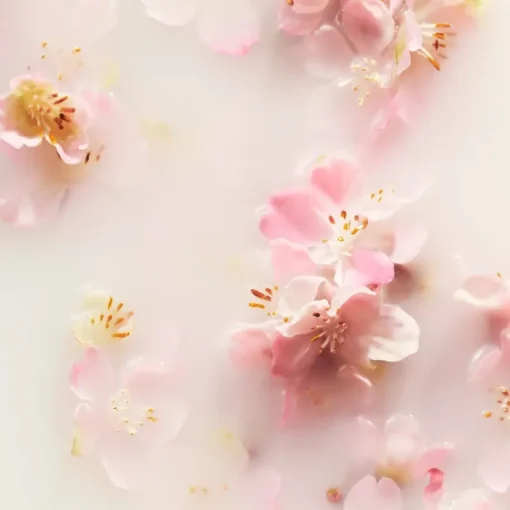 The Ritual Of Sakura Geschenkset von RITUALS