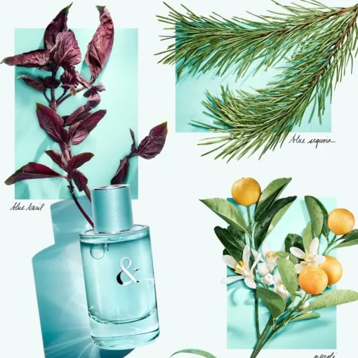 Tiffany & Love For Her Eau de Parfum Spray von Tiffany & Co.