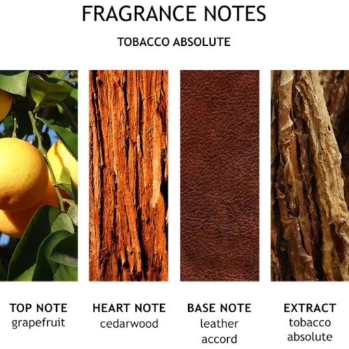 Tobacco Absolute Bath & Shower Gel von Molton Brown