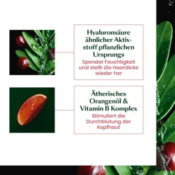 Tonucia Anti-Age Kräftigendes Shampoo von René Furterer